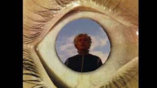 Robert Pollard - Faking My Harlequin