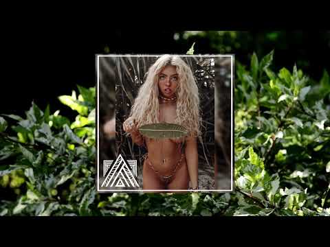 Nature Song - Shanin Blake (Akriza Remix)