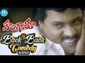 Hungama Movie Back to Back Comedy Scenes - Ali, Venu Madhav, Sunil | S. V. Krishna Reddy