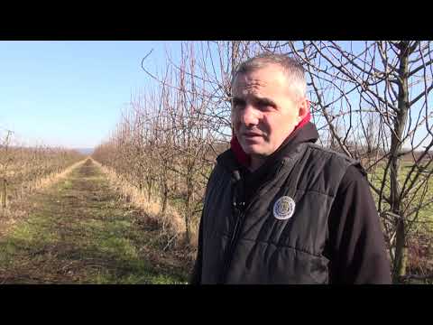 Zlatno klasje #153: Gnojidba