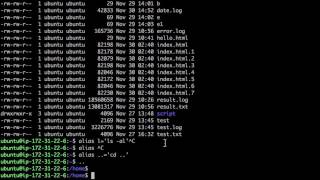 Linux - Startup script  bashrc
