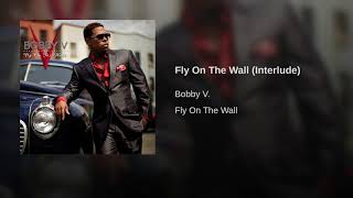 Fly On The Wall (Interlude)