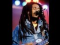 Bob Marley & The Wailers Don't rock my boat ...