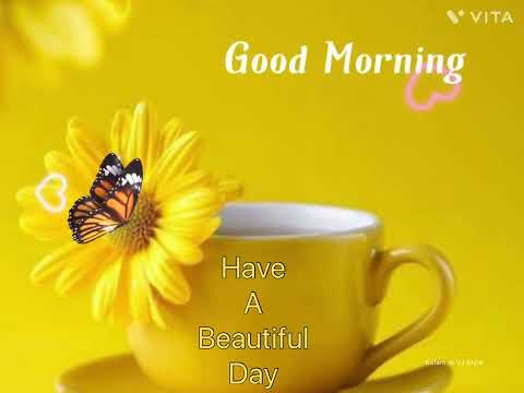 Awesome Day Gif