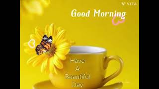 Good Morning Have A Beautiful Day gif What’s Up Status Video | Good Morning Wishes | #goodmorning 👍