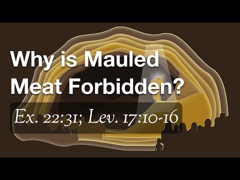 Why is Mauled Meat Forbidden? (Ex. 22:31; Lev. 17:10-16)