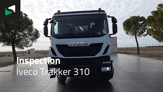 Camion plateau IVECO Trakker 310 4X2 Palfinger PK14002 EH Crane Kran Rotator Steelsus | Image 4 - Autoline