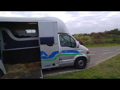 Racehorse Babba (Alibaba del Sol) loading himself in the car