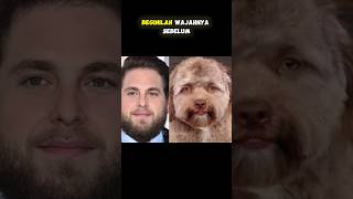 Download lagu INILAH ORANG YANG MENJADI ANJING SETELAH OPERASI #gudangit #facts mp3 Download lagu INILAH ORANG YANG MENJADI ANJING SETELAH OPERASI #gudangit #facts mp3