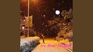 Musik-Video-Miniaturansicht zu In the Night Songtext von Danielle Young