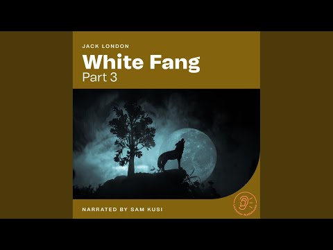 Chapter 20 - White Fang (Part 3)