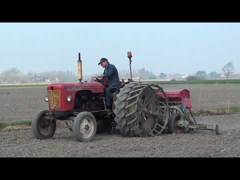 Landb. Van Belleghem - Zuienkerke - David Brown 990 Implematic - Nodet Gougis