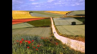 Il mio Cammino di Santiago