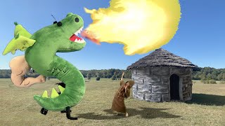 Homestar Anniversary Merch