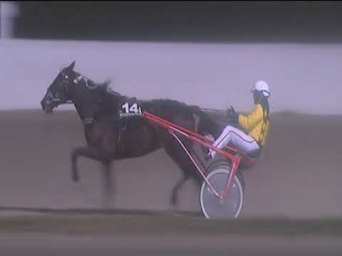 Trotto 08/02/2019 - 7ª corsa - TRIS