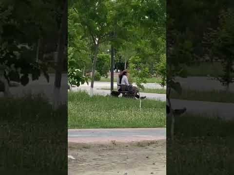 Видео аз Ходиса Тв / Студентора капидан!