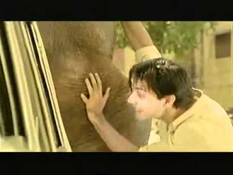 pub voiture - Peugeot 206 inde