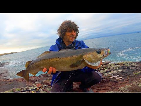 Fishing The Irish Coast For Pollock! Lure Fishing In Ireland