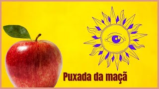 AMARRAÇÃO DA MAÇÃ