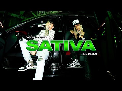 Miniatura de SATIVA
