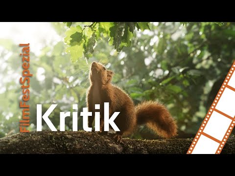 DIE EICHE - Kurzkritik