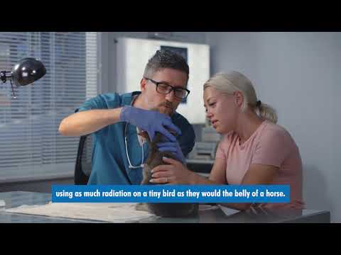 How to Care for Your X ray Machine