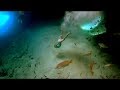 Jumping 40 Feet Into Thunderball Grotto