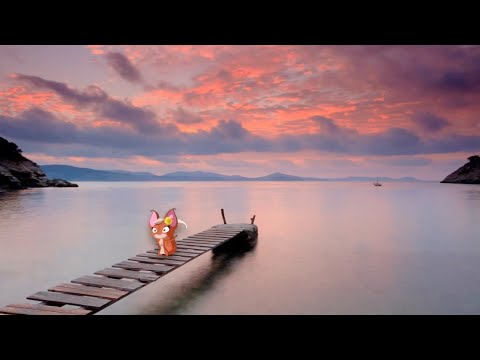 La volpe Sophia e gli istanti