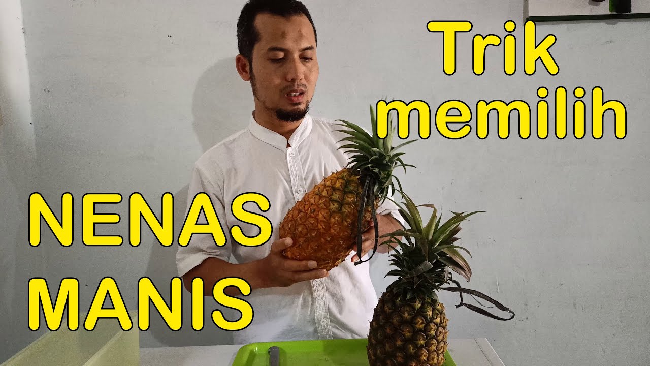Putar video Cara Memilih Nanas Yang Manis Cara Memilih Nanas Yang Manis