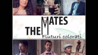 The Mates - Fluturi Colorati