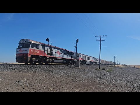 3MP9 SCT down "Dark Ghost #1" (SCT CSR CSR, 77P), Laverton to Forrestfield, 1025, 21/1/26, Jung VIC