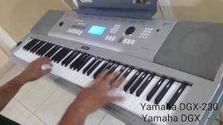 Video thumbnail for YAMAHA DGX-230 Y DGX-220 DEMO - TECLAS HOUSE by Tecla's House