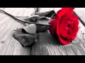 Morteza Pashaei - Negarane Mani (Mahe Asal ...