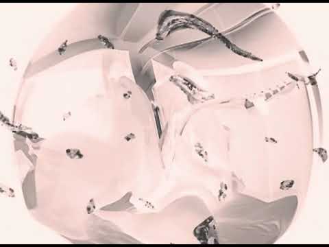 DTSQ - Dime (Official Video)