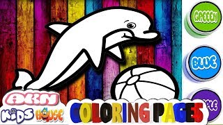 Dolphin Coloring Pages and Drawing