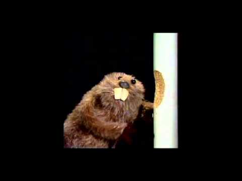 Oceanlab feat. Justine Suissa - Satellite (jb's 12 inch extended dub edit) (2004)