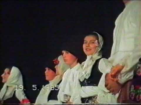 Susreti sela borske opstine 1995.godine : Brestovac - Donja Bela Reka
