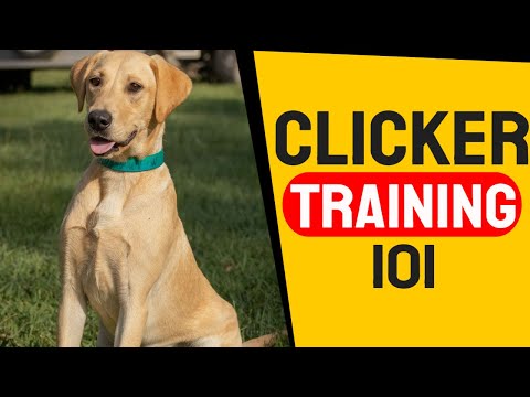 Puppy Clicker Training. Clicker training your dog in under ten minutes! Clicker training 101