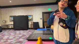 LIVE Pokemon Vending Austin Trading Card Con Day 2
