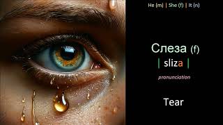 Learn Russian words - Lesson 45.