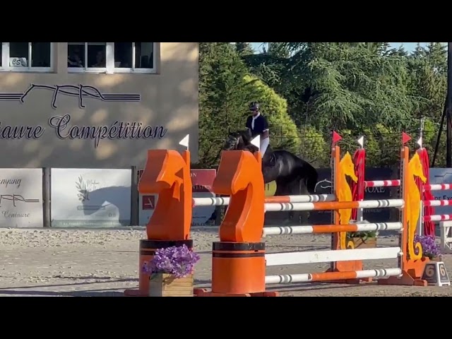 KAJMAN DU TER (CORNET OBOLINSKI x BURGGRAAF) H 6 ans
