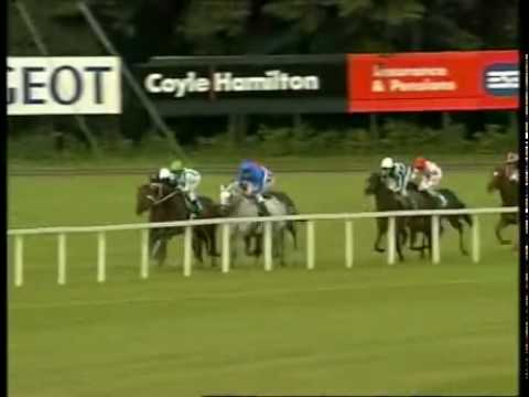 Godolphin Greats - 6 - DAYLAMI - G1 ESAT DIGIFONE CHAMPION STAKES