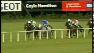 Godolphin Greats - 6 - DAYLAMI - G1 ESAT DIGIFONE CHAMPION STAKES Godolphin Greats - 6 - DAYLAMI - G1 ESAT DIGIFONE CHAMPION STAKES