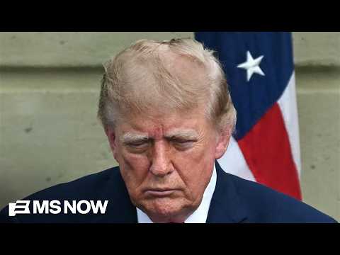 'NOT the people I interviewed': Trump DEJECTED after conservative Supreme Court rules against him
