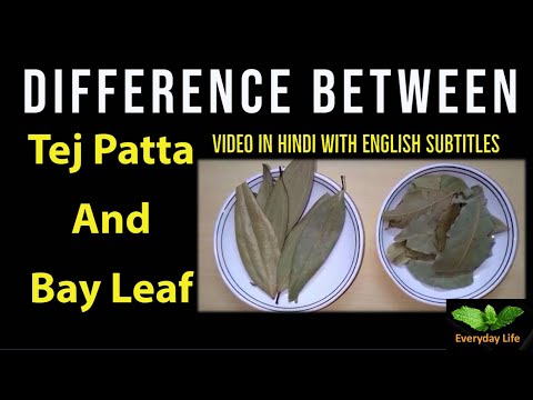 Bay Leaf Tej Patta