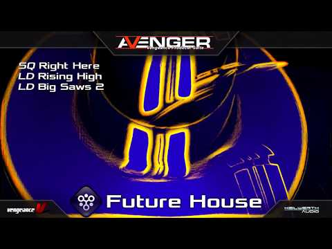 vengeance future house vol.4