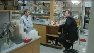 How Effective Are Hand Sanitizers