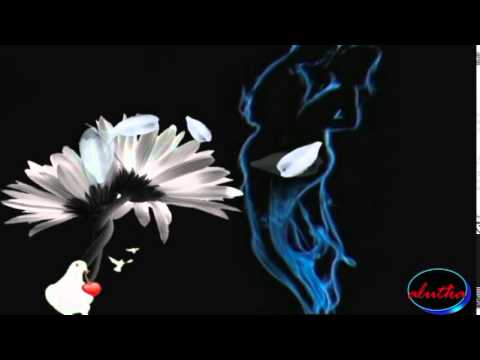 Dany Bédar feat Marie Mai - Faire la paix avec l'Amour