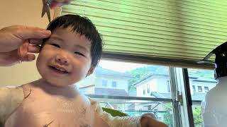 【 親子で楽しむ】🐱 #散髪  #育児あるある #成長記録 #子育て #2歳1カ月　