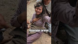 Download lagu kesurupan jaranan #jaranan #ndadi #kudalumping #jhatilan #kesurupan mp3 Download lagu kesurupan jaranan #jaranan #ndadi #kudalumping #jhatilan #kesurupan mp3